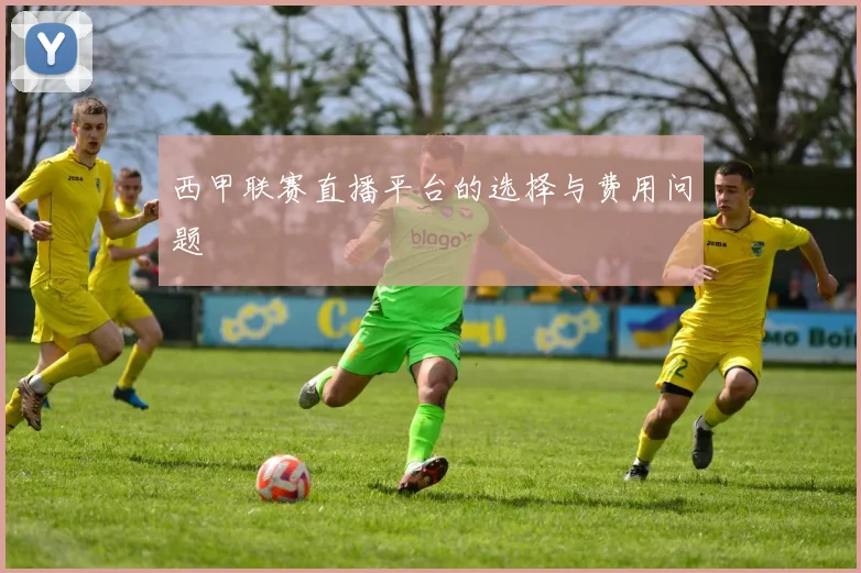 西甲联赛直播平台的选择与费用问题
